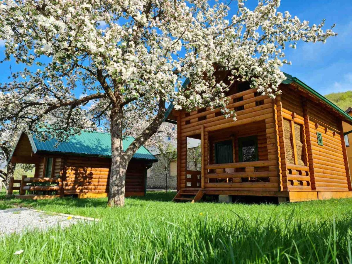 Guest House Green Garden مويكوفاتش المظهر الخارجي الصورة