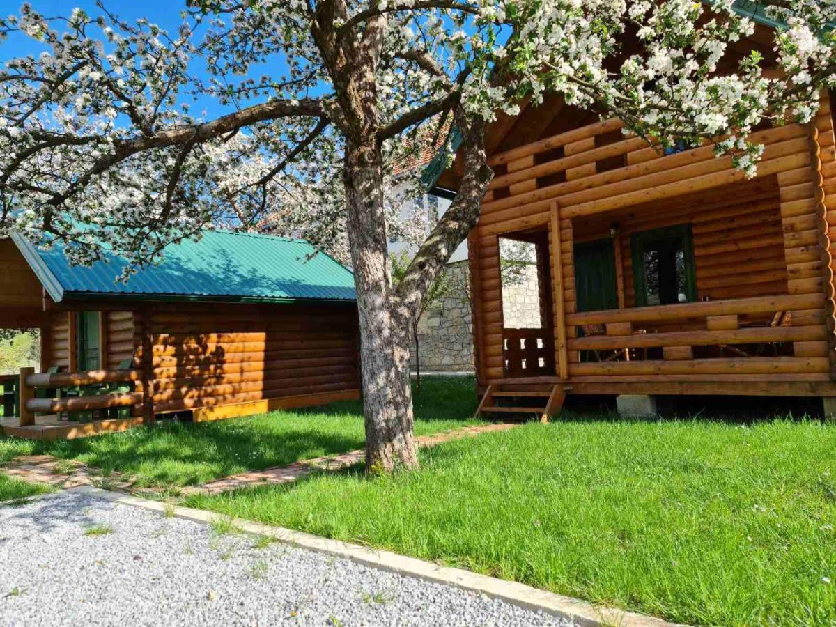 Guest House Green Garden مويكوفاتش المظهر الخارجي الصورة